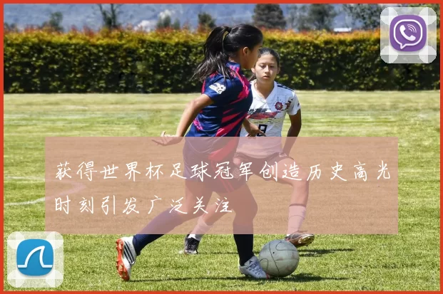获得世界杯足球冠军创造历史高光时刻引发广泛关注