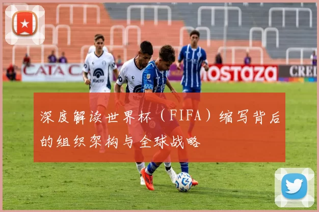 深度解读世界杯（FIFA）缩写背后的组织架构与全球战略