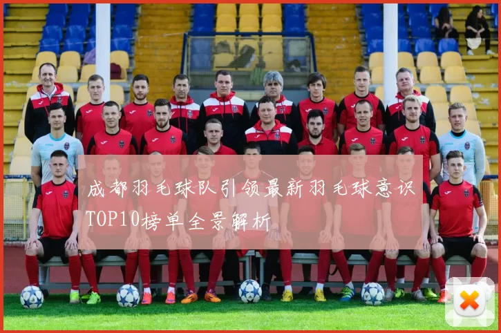 成都羽毛球队引领最新羽毛球意识TOP10榜单全景解析