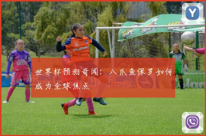 世界杯预测奇闻：八爪鱼保罗如何成为全球焦点