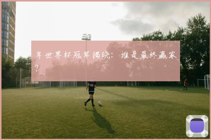 年世界杯冠军揭晓：谁是最终赢家？