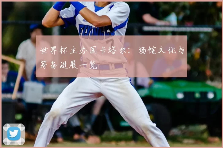 世界杯主办国卡塔尔：场馆文化与筹备进展一览