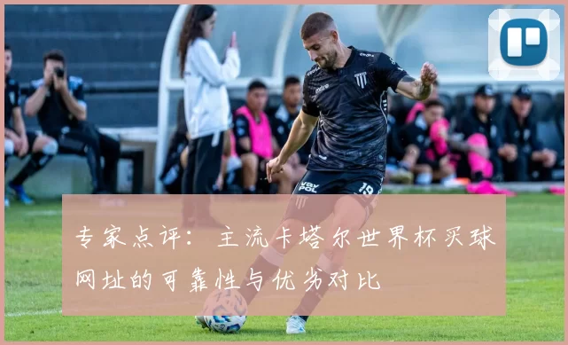 专家点评:主流卡塔尔世界杯买球网址的可靠性与优劣对比