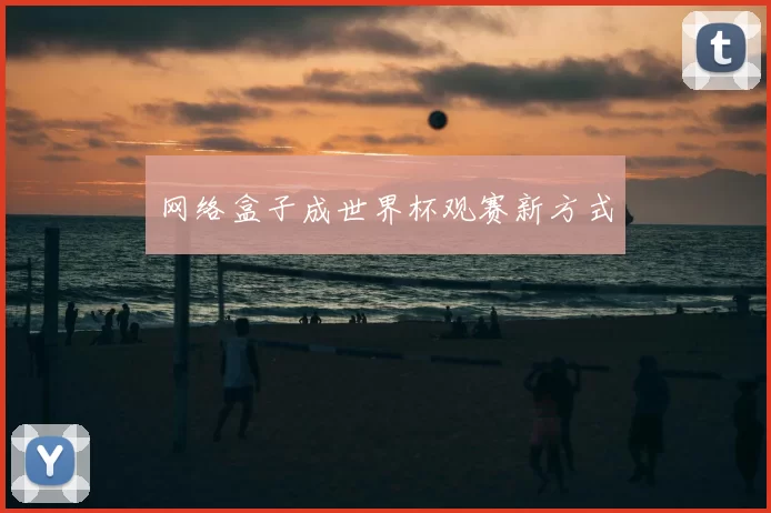 网络盒子成世界杯观赛新方式