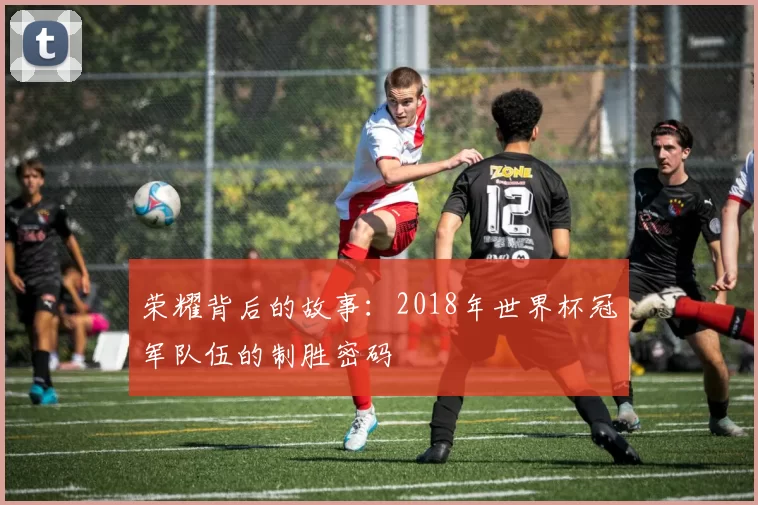 荣耀背后的故事：2018年世界杯冠军队伍的制胜密码