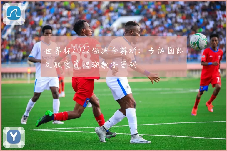 世界杯2022场次全解析:专访国际足联官员揭晓数字密码