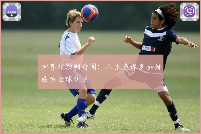 世界杯预测奇闻：八爪鱼保罗如何成为全球焦点
