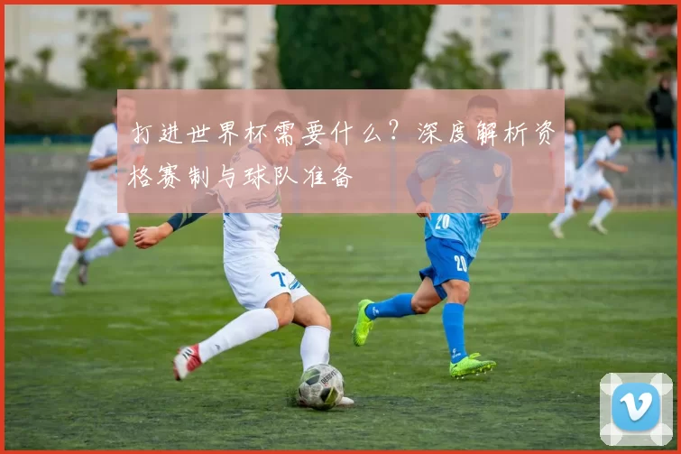打进世界杯需要什么？深度解析资格赛制与球队准备